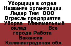 Уборщица в отдел › Название организации ­ Лидер Тим, ООО › Отрасль предприятия ­ Уборка › Минимальный оклад ­ 28 000 - Все города Работа » Вакансии   . Калининградская обл.,Советск г.